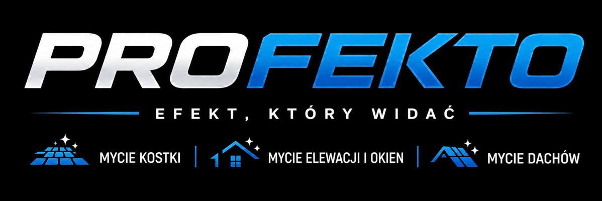 Baner Profekto